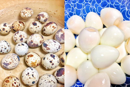 1個(gè)番茄，2勺番茄醬，教你做酸甜味美的茄汁虎皮鵪鶉蛋，零失誤休閑食品